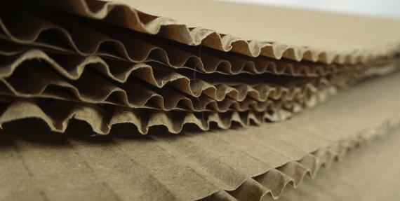 Detail of Corrugated cardboard